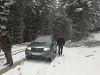 Bringtreueprüfung in Mürzzuschlag